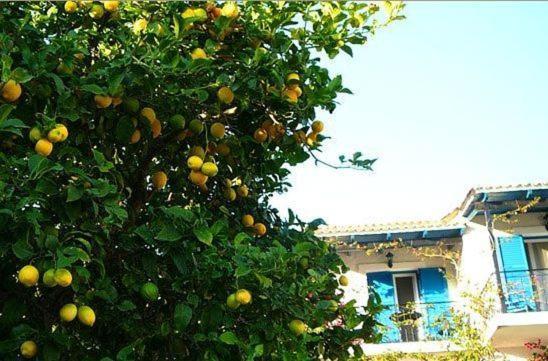 Villa Fiorita Paleokastritsa Luaran gambar